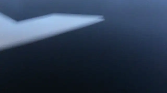 petter_coleman_ webcam