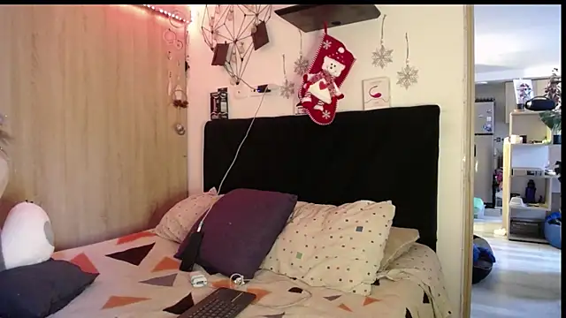 Santiago_kiler webcam