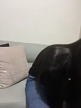 dominantandsubmissiveshow webcam