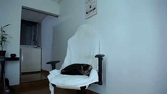 diamond_black00 webcam