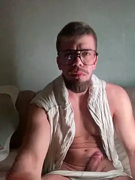 ScandentVendee webcam