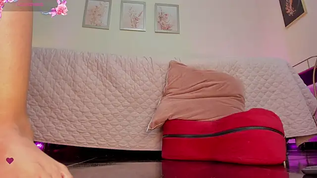 New_Arab_Kingdom webcam