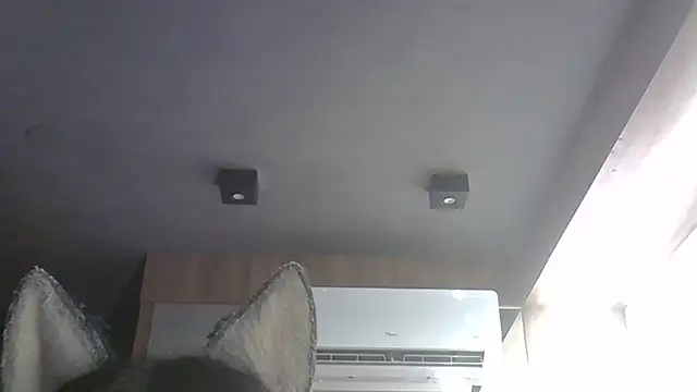 SkinnyKitten webcam