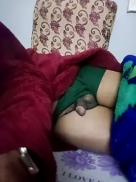 saraieevosarai webcam