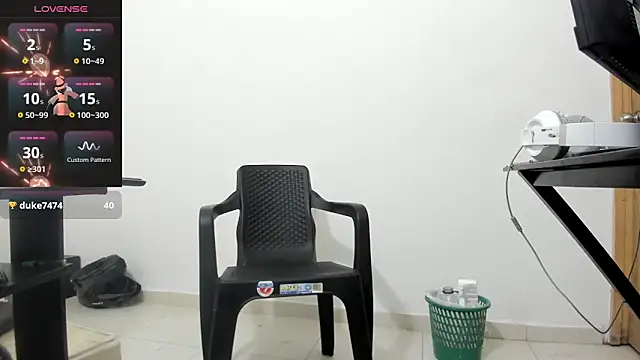 isearchcompany webcam