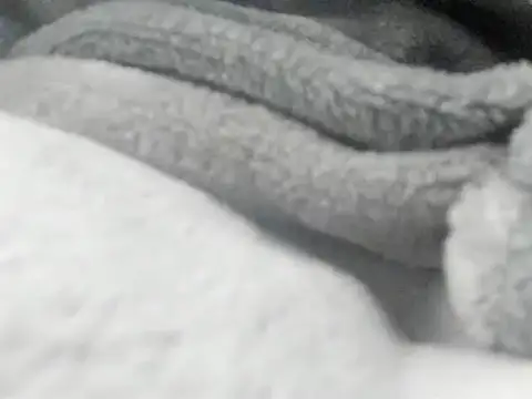 ravenvancleef webcam