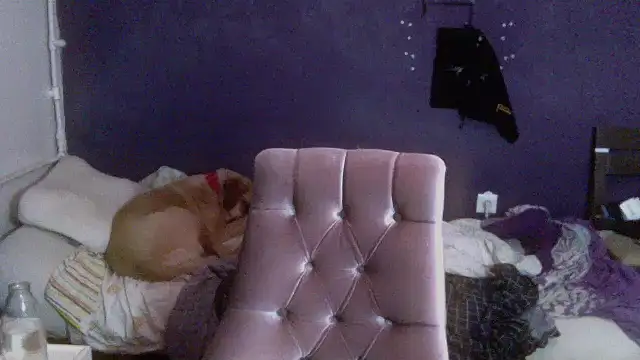 turkishTransEfsun webcam