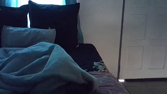 HipsDontLieX95 webcam