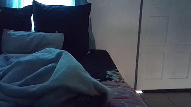 HipsDontLieX95 webcam