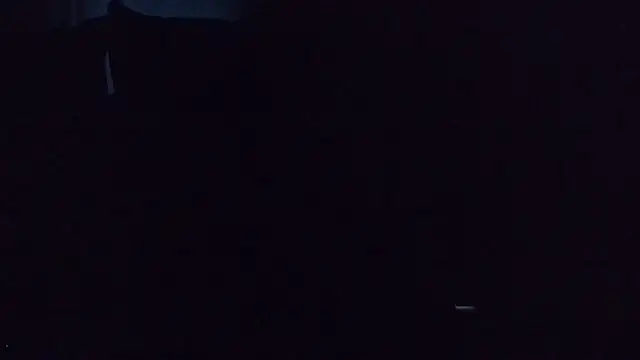 HipsDontLieX95 webcam