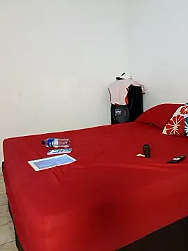 LEIRIS_Y_FRED_01 webcam