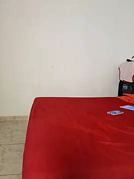 LEIRIS_Y_FRED_01 webcam