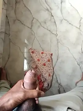 PracticalGum40 webcam