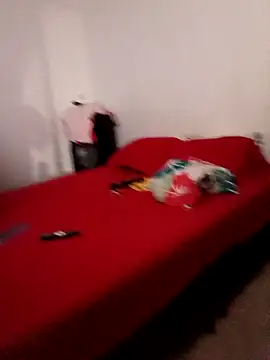 LEIRIS_Y_FRED_01 webcam