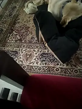 yoursdreamgirlbhabhi