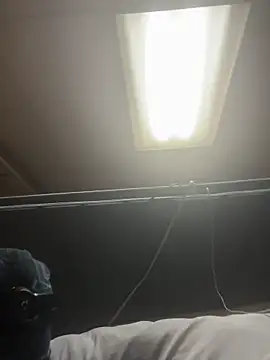 ProveYourLoyalty webcam