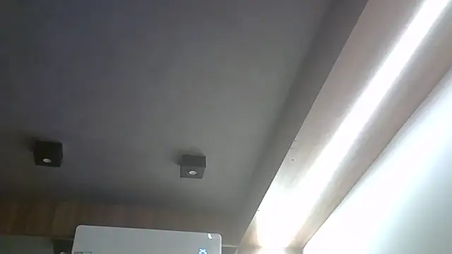 SkinnyKitten webcam