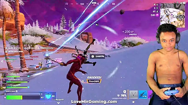 lovemirgaming webcam