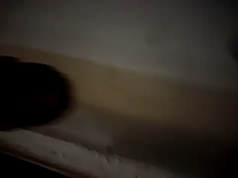 lucy_sluppy_hard webcam