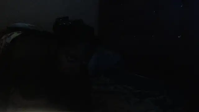 petitechocolatemommy webcam