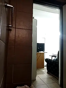 HipsDontLieX95 webcam