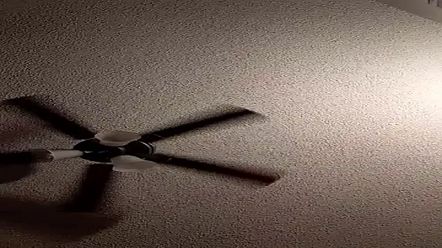 Forbidden_daddy webcam