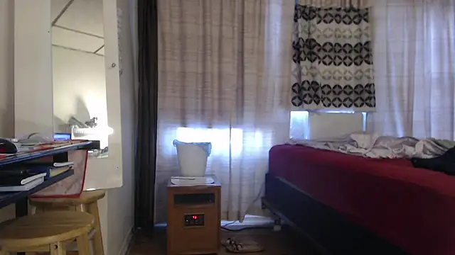 ANALTRAINING2 webcam