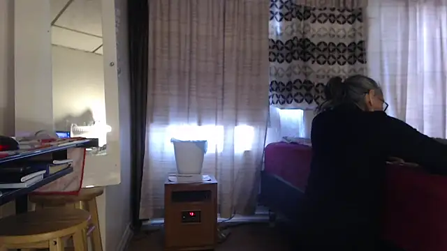 ANALTRAINING2 webcam