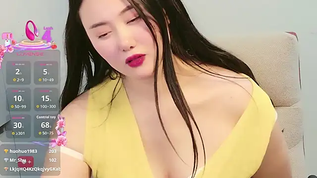 Della-579 webcam