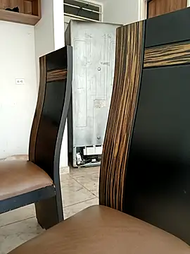 LEIRIS_Y_FRED_01 webcam