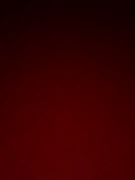 OpenPicture19 webcam