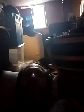 AceticPinscher webcam