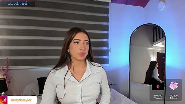 MERIDA_TAYLOR webcam