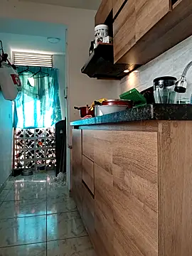 LEIRIS_Y_FRED_01 webcam