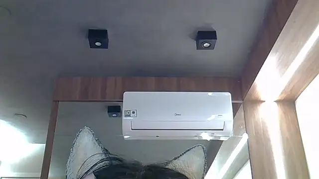 skinnykitten (T young) - stand up⬆️levantar