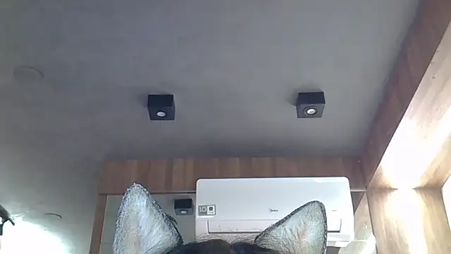 SkinnyKitten webcam