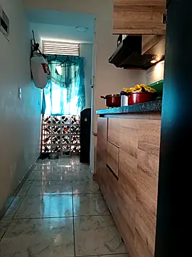 LEIRIS_Y_FRED_01 webcam