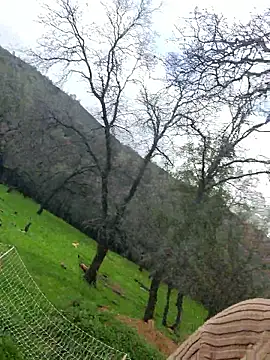 Magical_Misha webcam