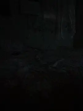 johnras121 (Ask my age) - Get naked