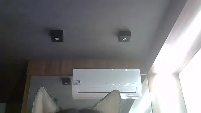 SkinnyKitten webcam