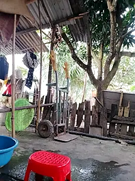 Webcam Model (BigBoobs186)  is live.Free join now!