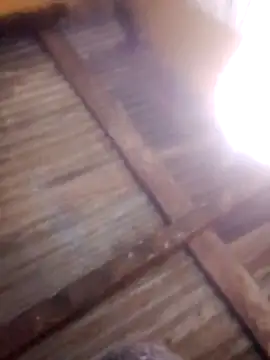 HornyAss_Bitch webcam