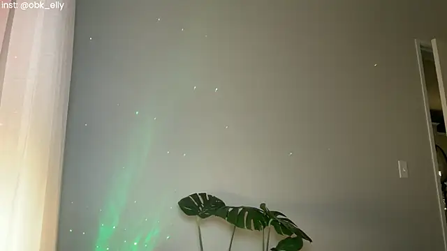 Ohbabykelly webcam