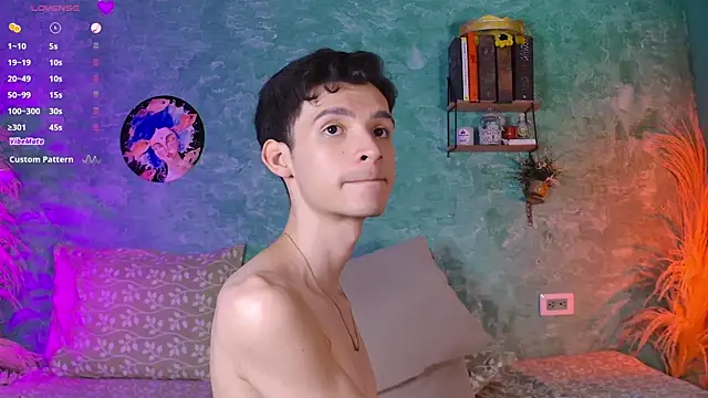 VicenteFerrer webcam