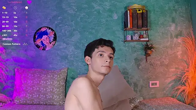 VicenteFerrer webcam