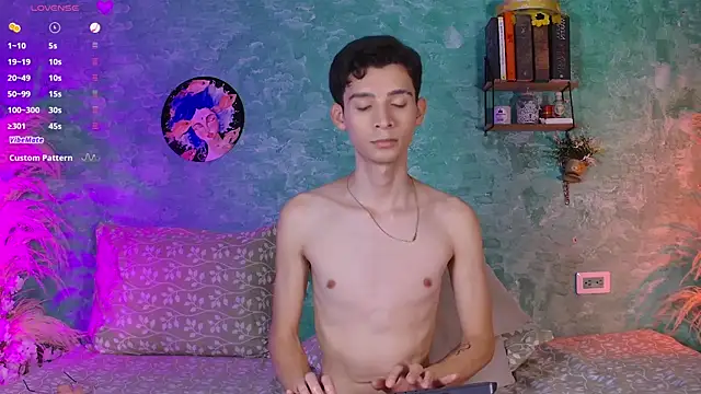 VicenteFerrer webcam