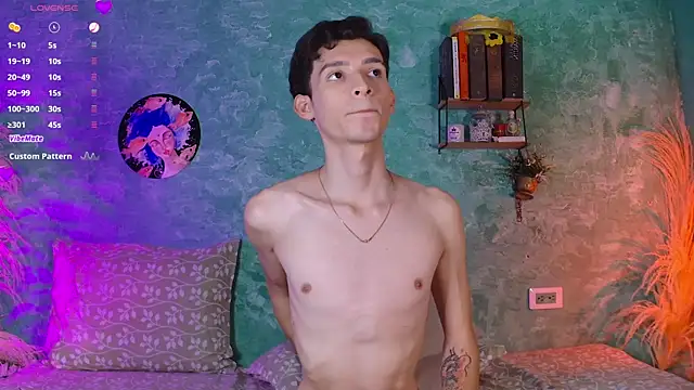 VicenteFerrer webcam