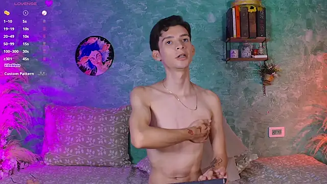 VicenteFerrer webcam