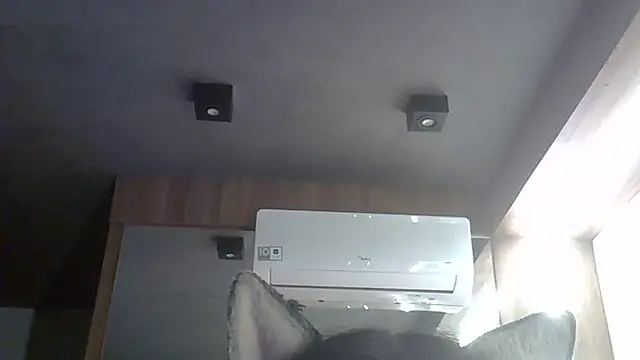 SkinnyKitten webcam