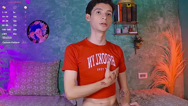 VicenteFerrer webcam